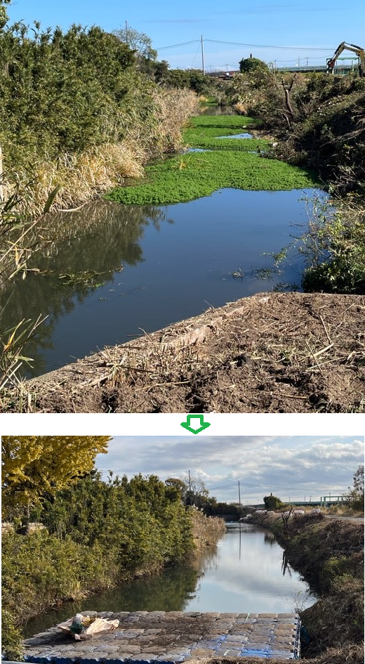 駆除作業前後の水路